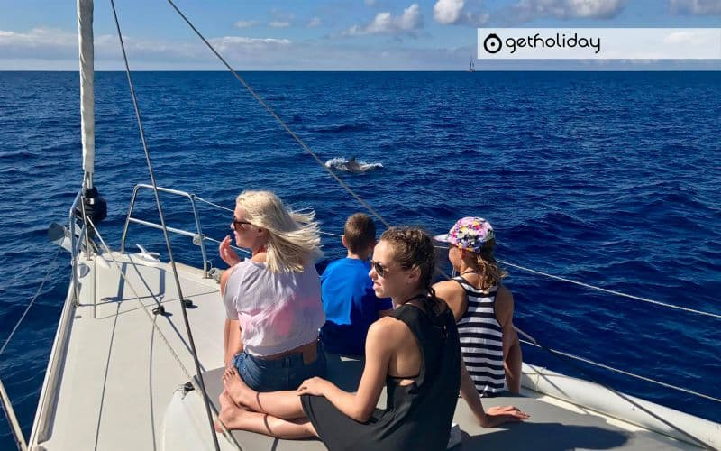 Sailing tour in Tenerife — Experience photographs 7