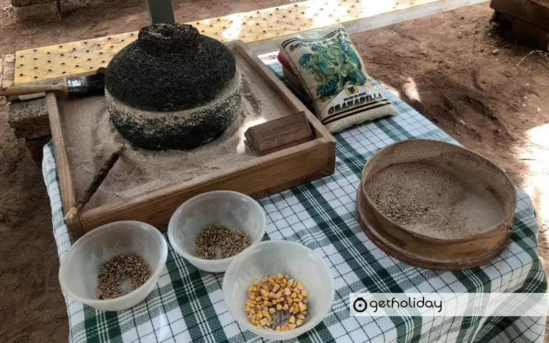 Tastes and wines from Tenerife South — Experience photographs 6