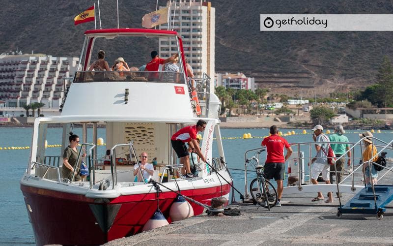 Whale watching in Los Cristianos — Experience photographs 2