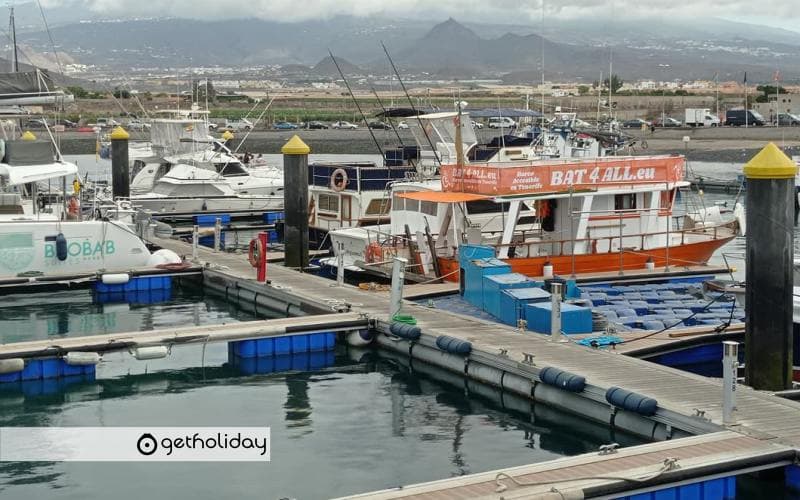 Whale watching on an accessible boat — Experience photographs 5