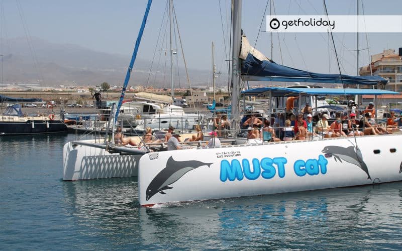 Whale watching by catamaran from Las Galletas — Experience photographs 4