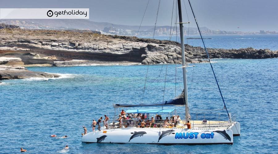 Whale watching by catamaran from Las Galletas