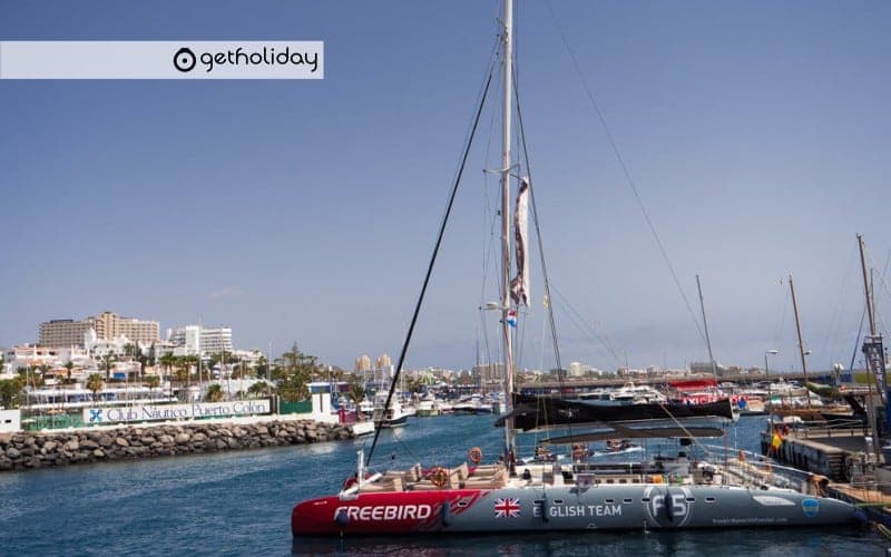Cetacean watching in Costa Adeje with Catamaran — Experience photographs 3