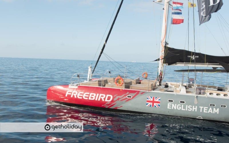 Cetacean watching in Costa Adeje with Catamaran — Experience photographs 4