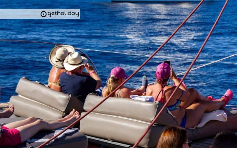 Cetacean watching in Costa Adeje with Catamaran — Experience photographs 5