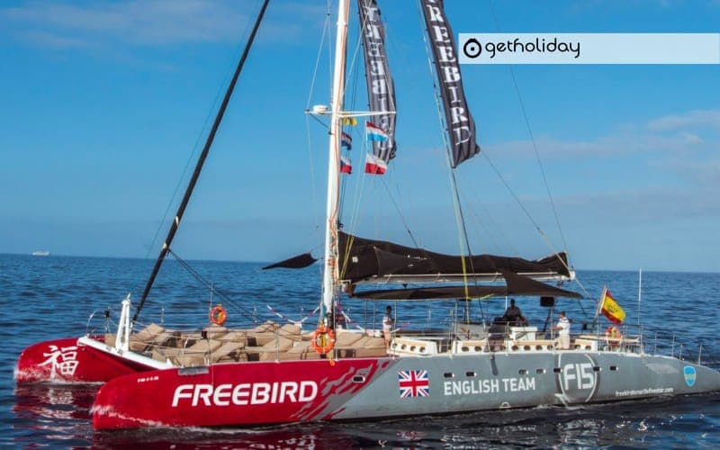Cetacean watching in Costa Adeje with Catamaran — Experience photographs 6