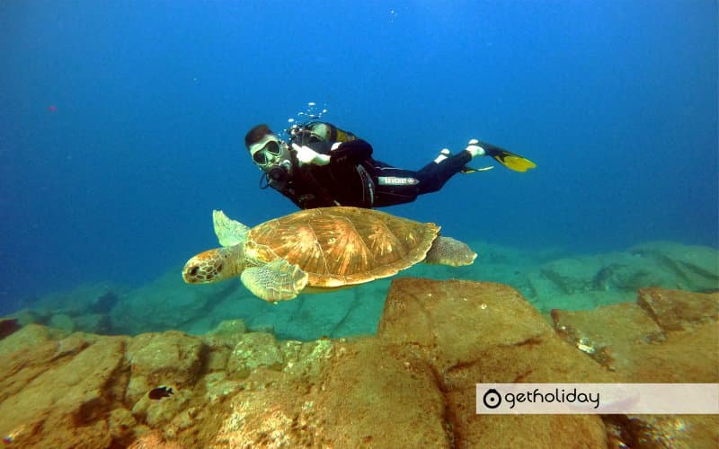 Try dive in Tenerife — Experience photographs 3