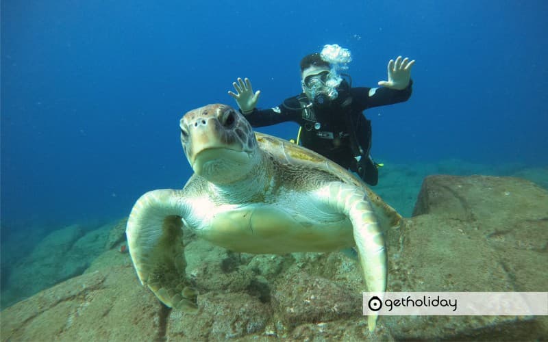Try dive in Tenerife — Experience photographs 4