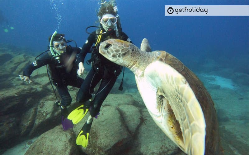 Try dive in Tenerife — Experience photographs 5