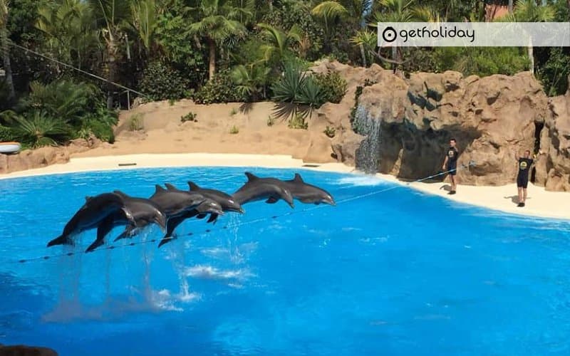 Ticket for Loro Parque — Experience photographs 2
