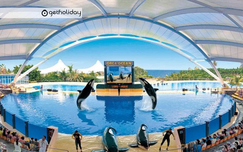 Twin ticket: Loro Parque and Siam Park — Experience photographs 4