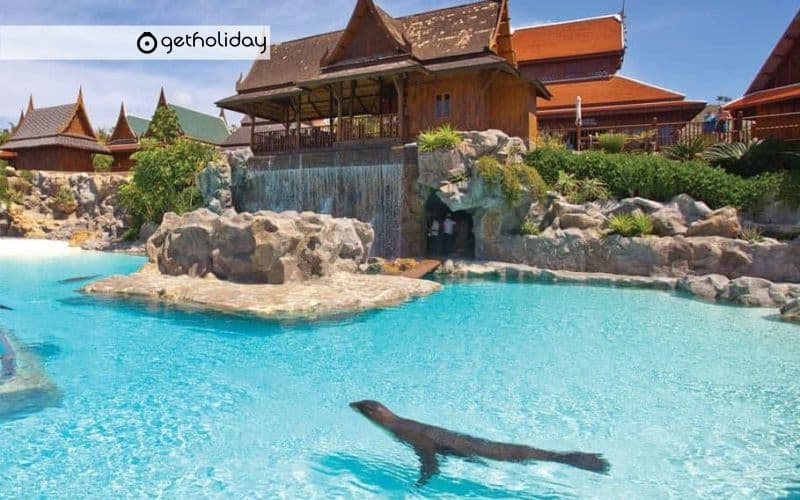 Ticket for Loro Parque — Experience photographs 3