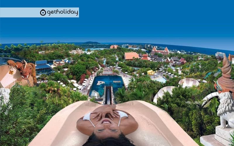 Twin ticket: Loro Parque and Siam Park — Experience photographs 7