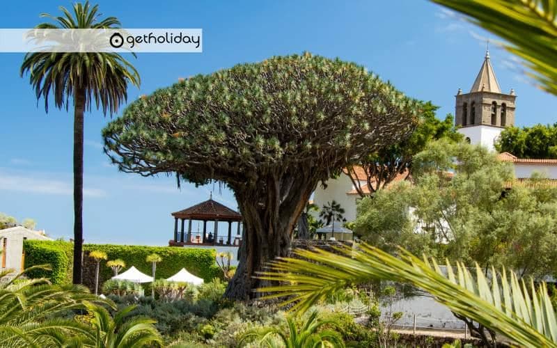 Teide Masca from Tenerife south — Experience photographs 5