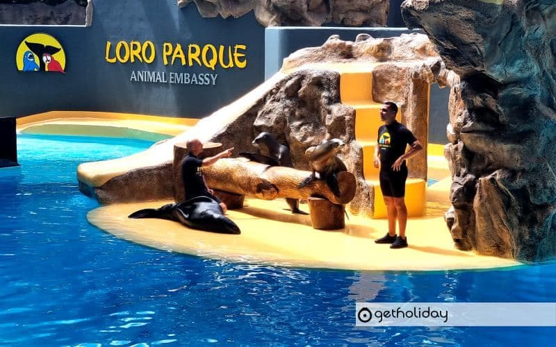 Ticket for Loro Parque — Experience photographs 5