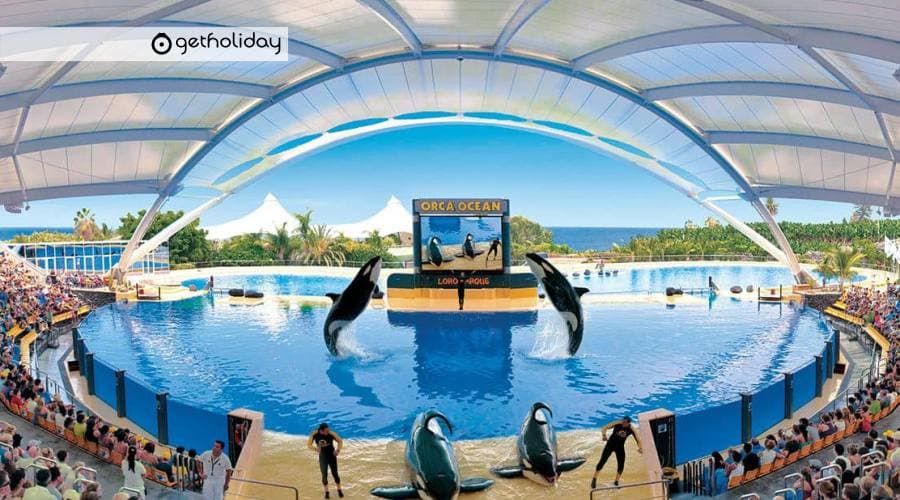 Eintrittskarte für den Loro Parque