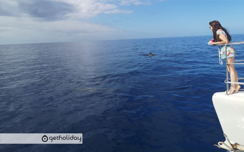 Tour in a private catamaran — Experience photographs 7