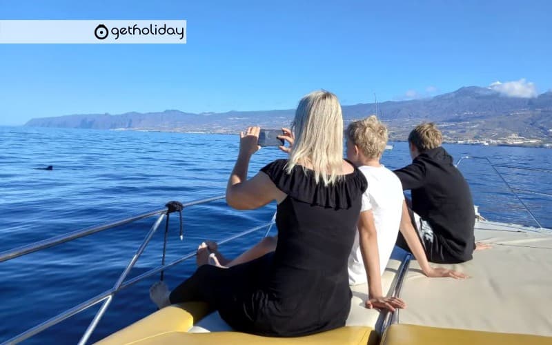 Yacht tour with whale watching — Experience photographs 3