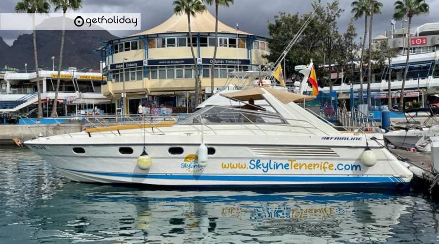 Yacht tour with whale watching