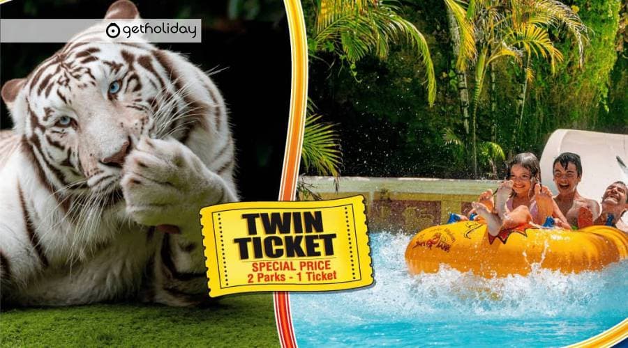 Twin ticket: Loro Parque and Siam Park