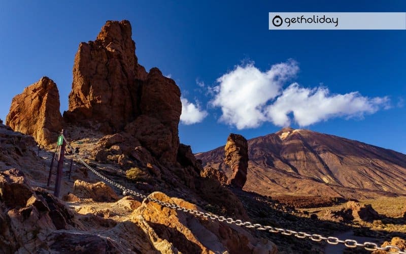 Visit to wineries and wine tastings in Tenerife — Experience photographs 4