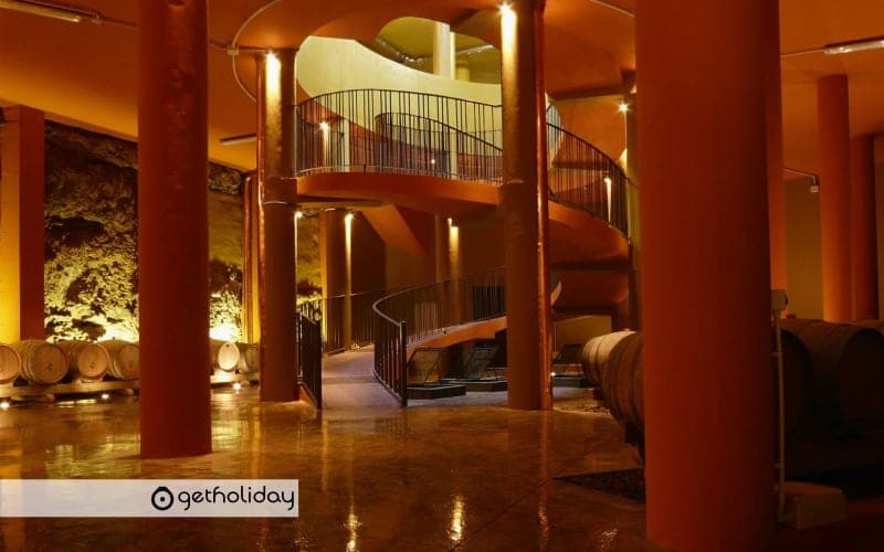 Visit to wineries and wine tastings in Tenerife — Experience photographs 7