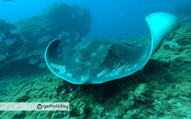 Aquatic walk in a protected natural cove — Experience photographs 3