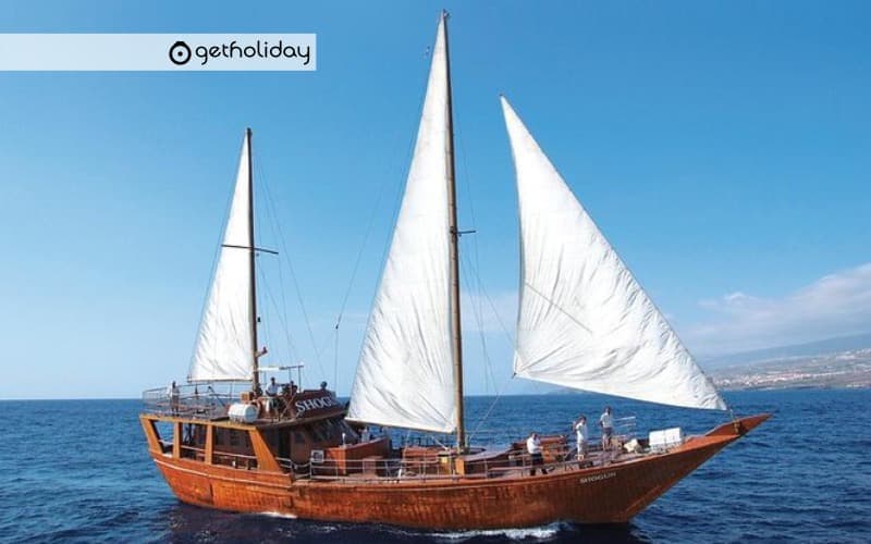 Excursion on a large sailing boat in the south of Tenerife — Experience photographs 2