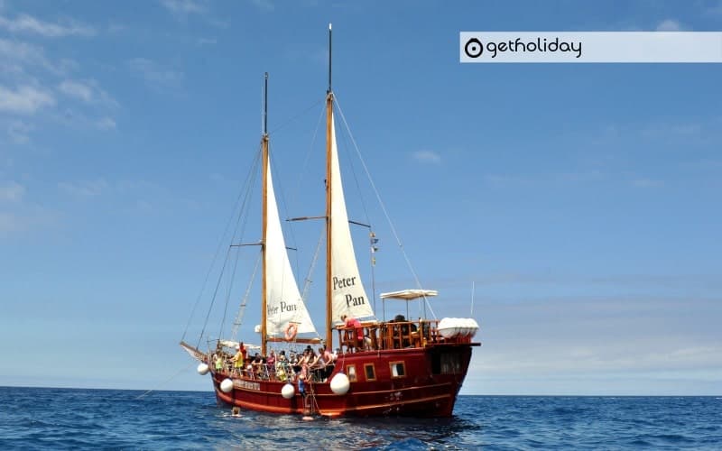 Peter Pan Sailing Trip from Los Cristianos — Experience photographs 3