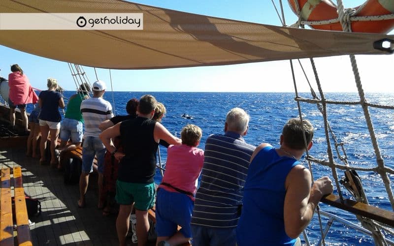 Peter Pan Sailing Trip from Los Cristianos — Experience photographs 5