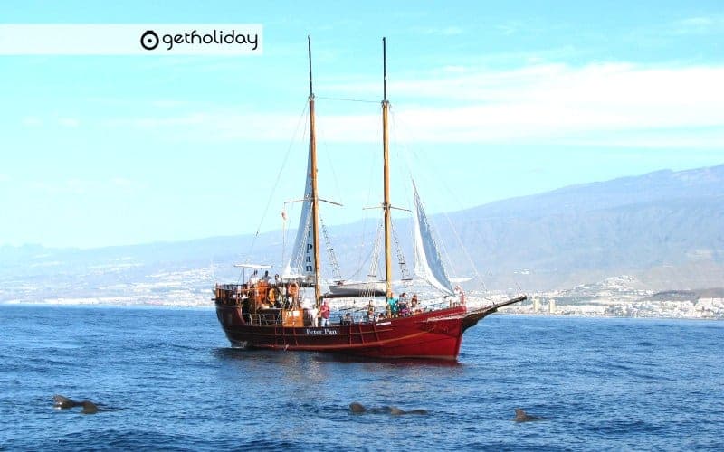 Peter Pan Sailing Trip from Los Cristianos — Experience photographs 6
