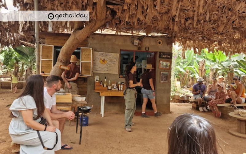 Banana Experience in Tenerife — Experience photographs 3