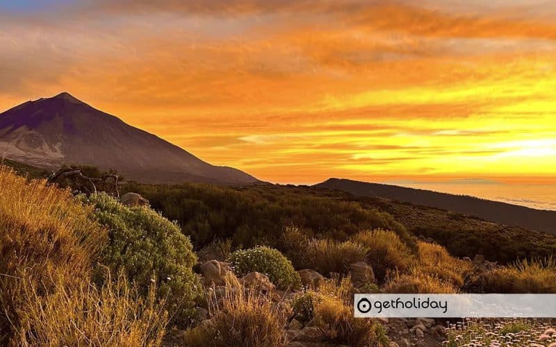 Stargazing in Tenerife — Experience photographs 4