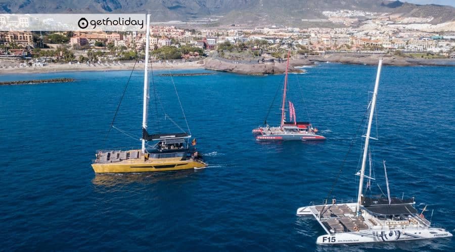 Whale and dolphin watching with catamaran – Masca