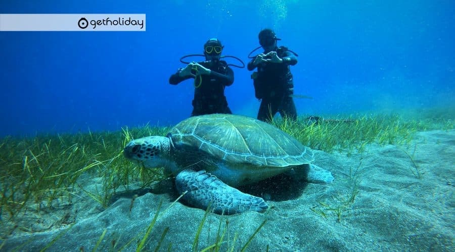 Discover scuba diving in Los Cristianos