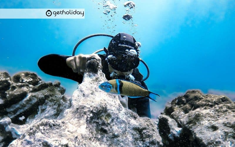 Discover scuba diving in Los Cristianos — Experience photographs 5