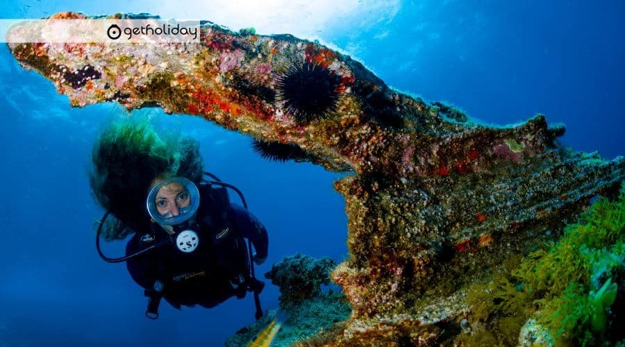 Scuba Diving with a certificate in Tenerife