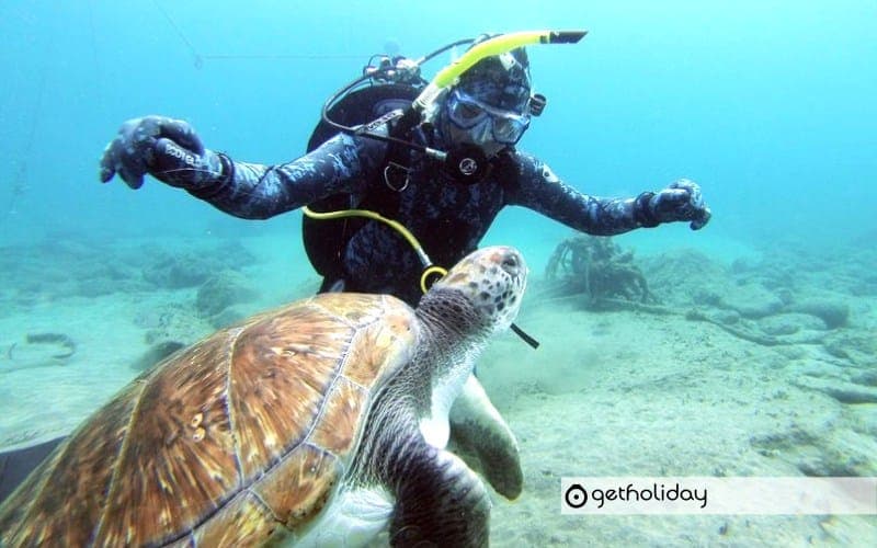 Scuba Diving with a certificate in Tenerife — Experience photographs 2
