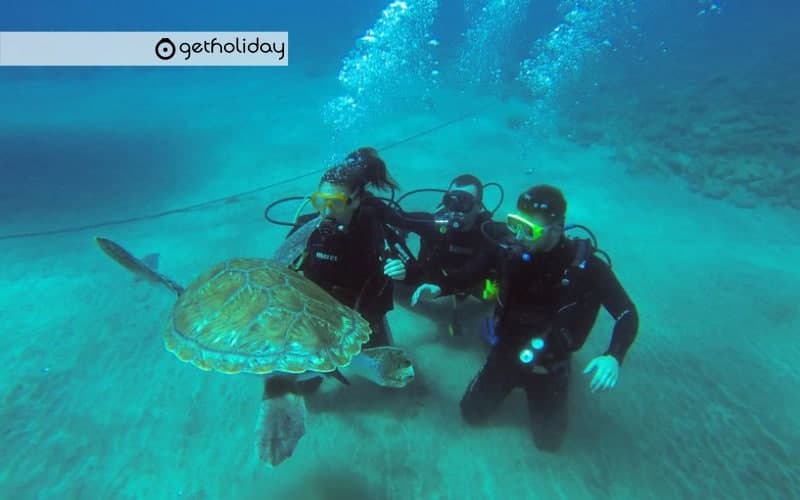 Scuba Diving with a certificate in Tenerife — Experience photographs 3