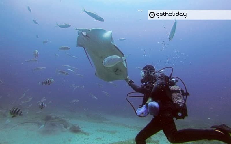 Scuba Diving with a certificate in Tenerife — Experience photographs 4