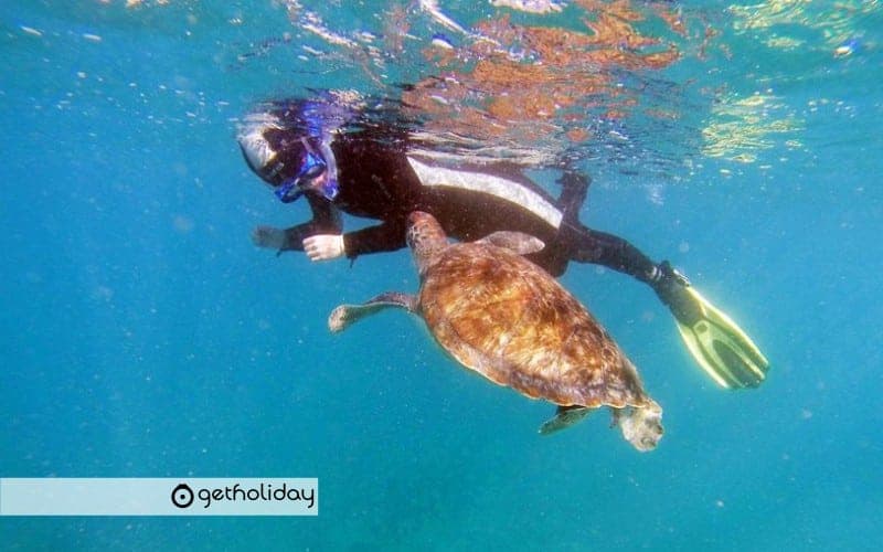 Snorkelling in Los Cristianos — Experience photographs 2