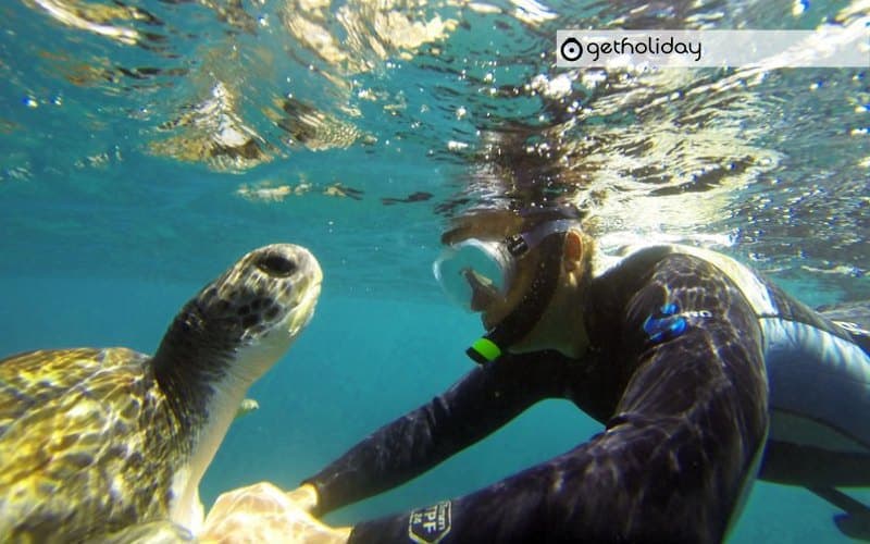 Snorkelling in Los Cristianos — Experience photographs 3