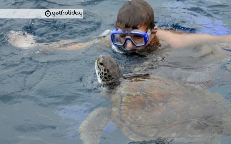 Snorkelling in Los Cristianos — Experience photographs 4