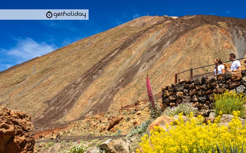 Private Mount Teide tour: 4 hours of volcanic landscapes — Experience photographs 5