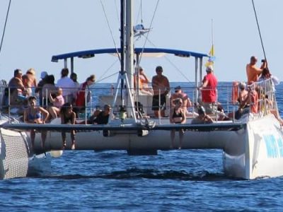 mustcat_boat_catamaran_tenerife_whale_watching_get_holiday_jpg